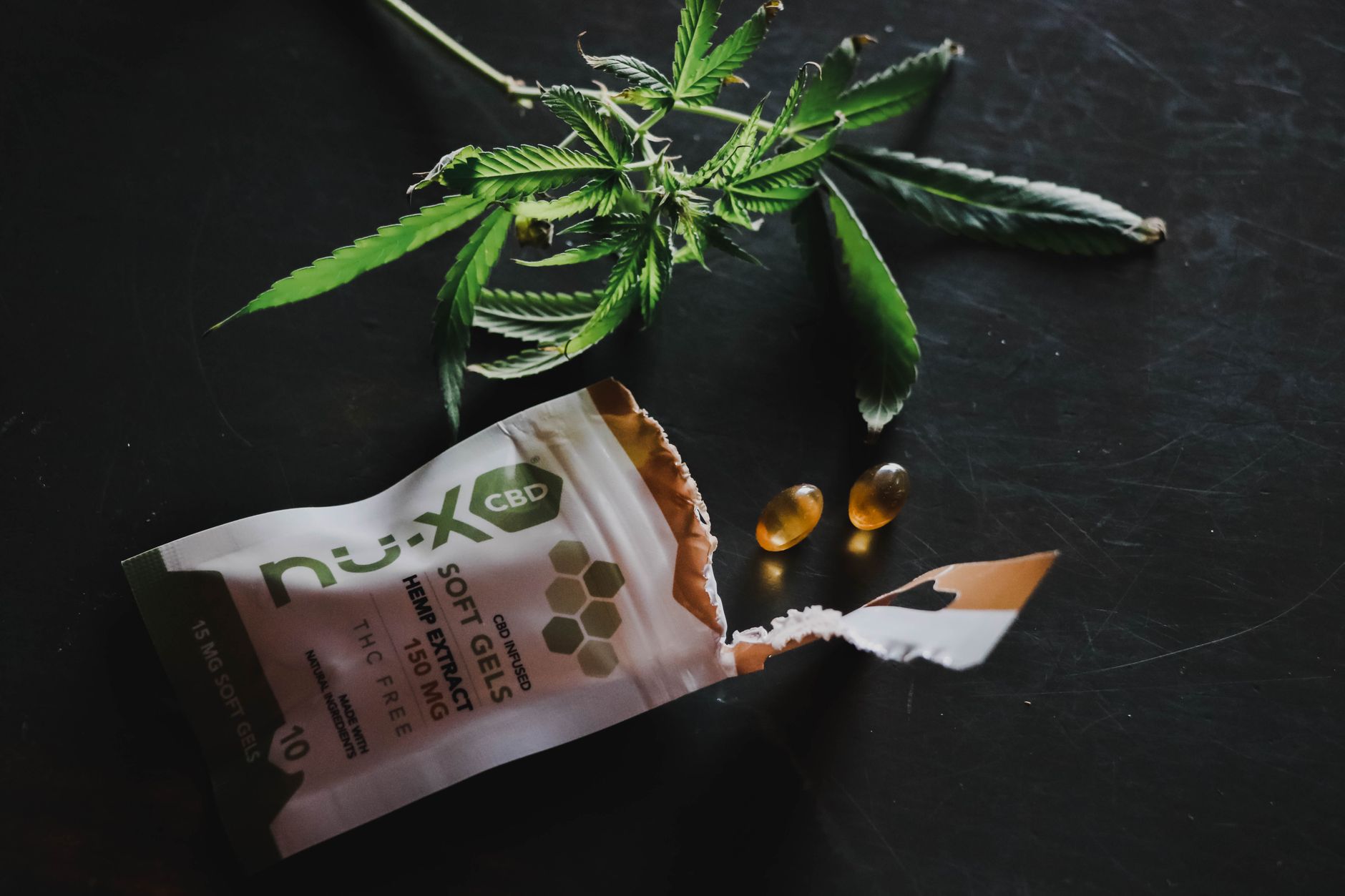 CBD Brest
